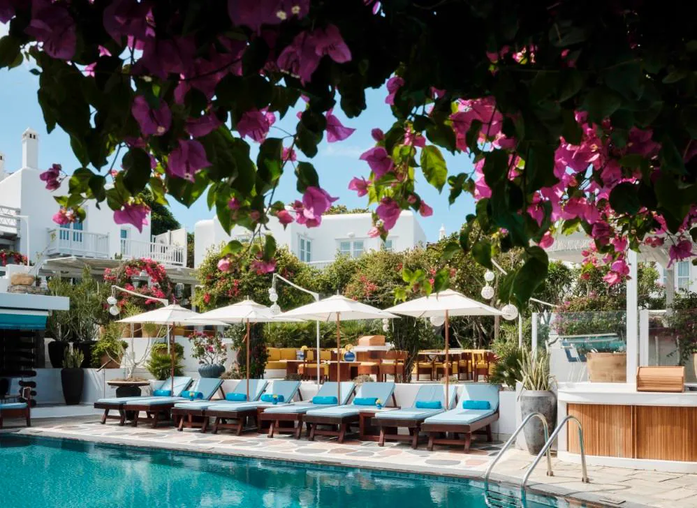 Belvedere pool framed by bougainvillea