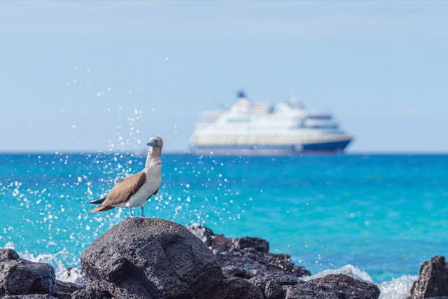 HX (Hurtigruten Expeditions)