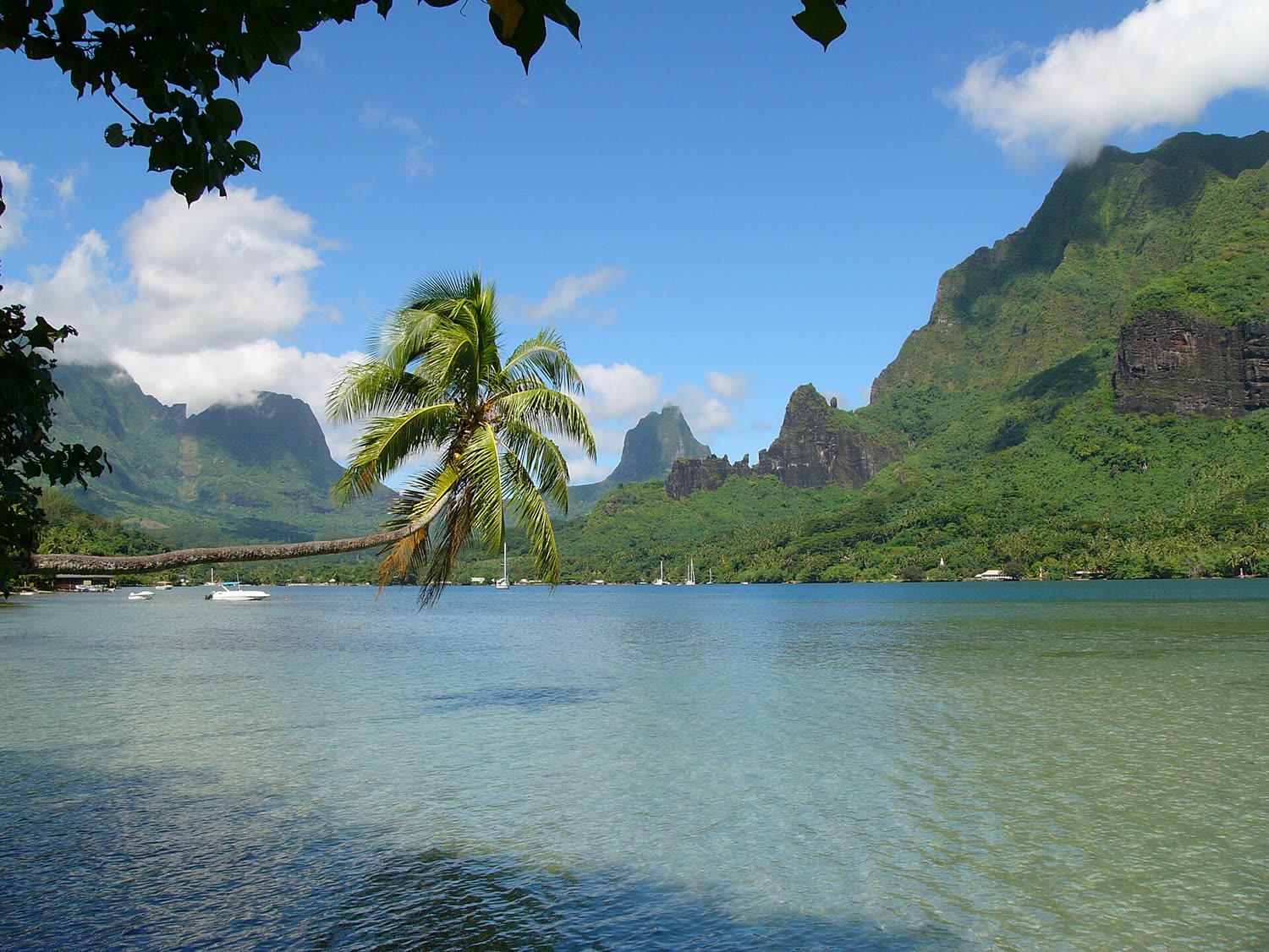 Cook's Bay and the green peaks of Moorea